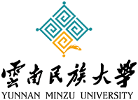 云南民族大学统一门户